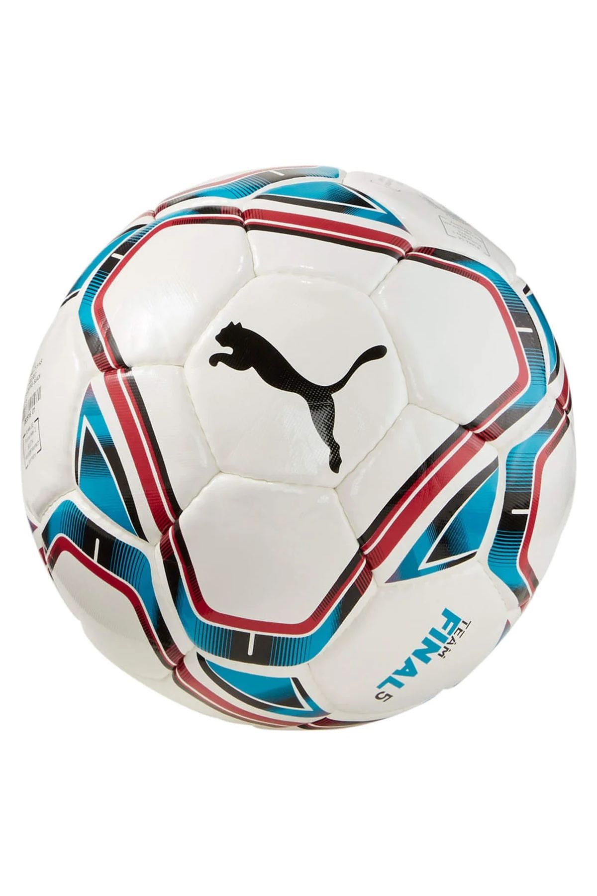 Puma Teamfinal 21.5 Hs Ball Unisex Çok Renkli Futb