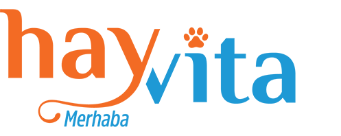 HAYVİTA