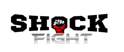 SHOCK FIGHT