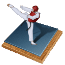 Taekwondo