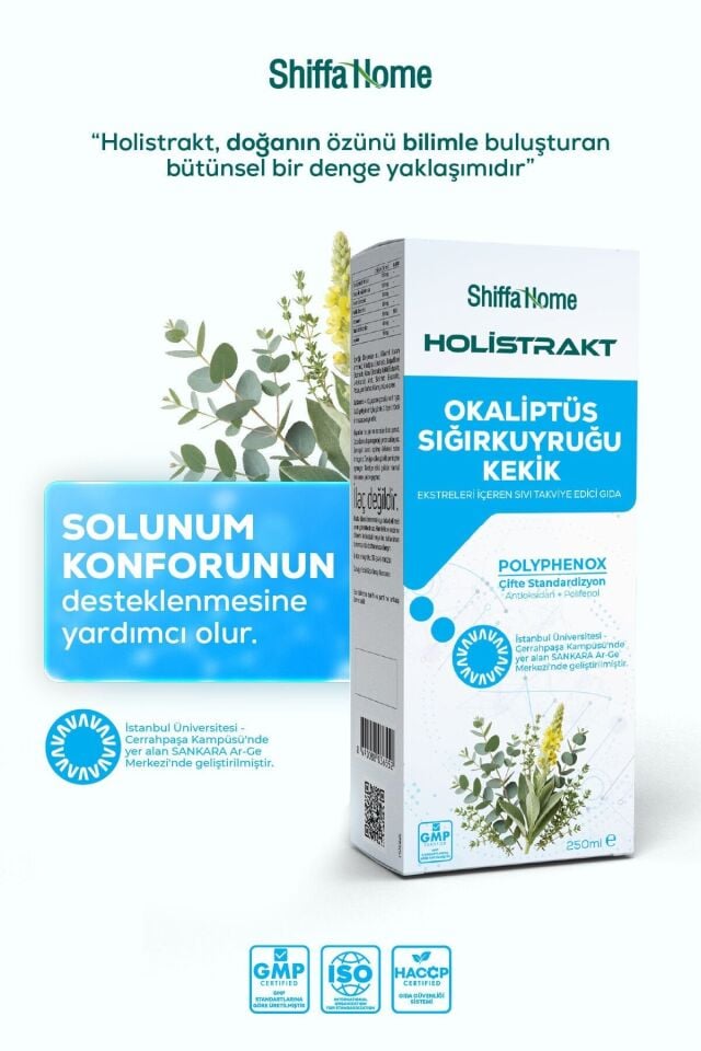 AksuVital Shiffa Home Holistrakt Okalipus - Sığırkuyruğu - Kekik Ekstre 250 ml