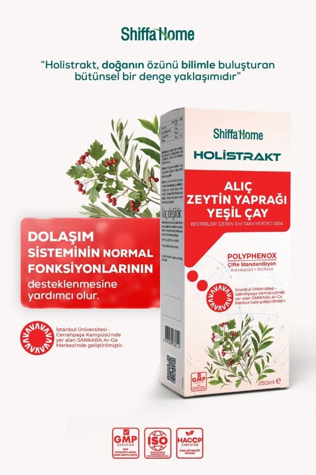 AksuVital Shiffa Home Holistrakt Alıç - Zeytin Yaprağı - Yeşil Çay Ekstre 250 ml