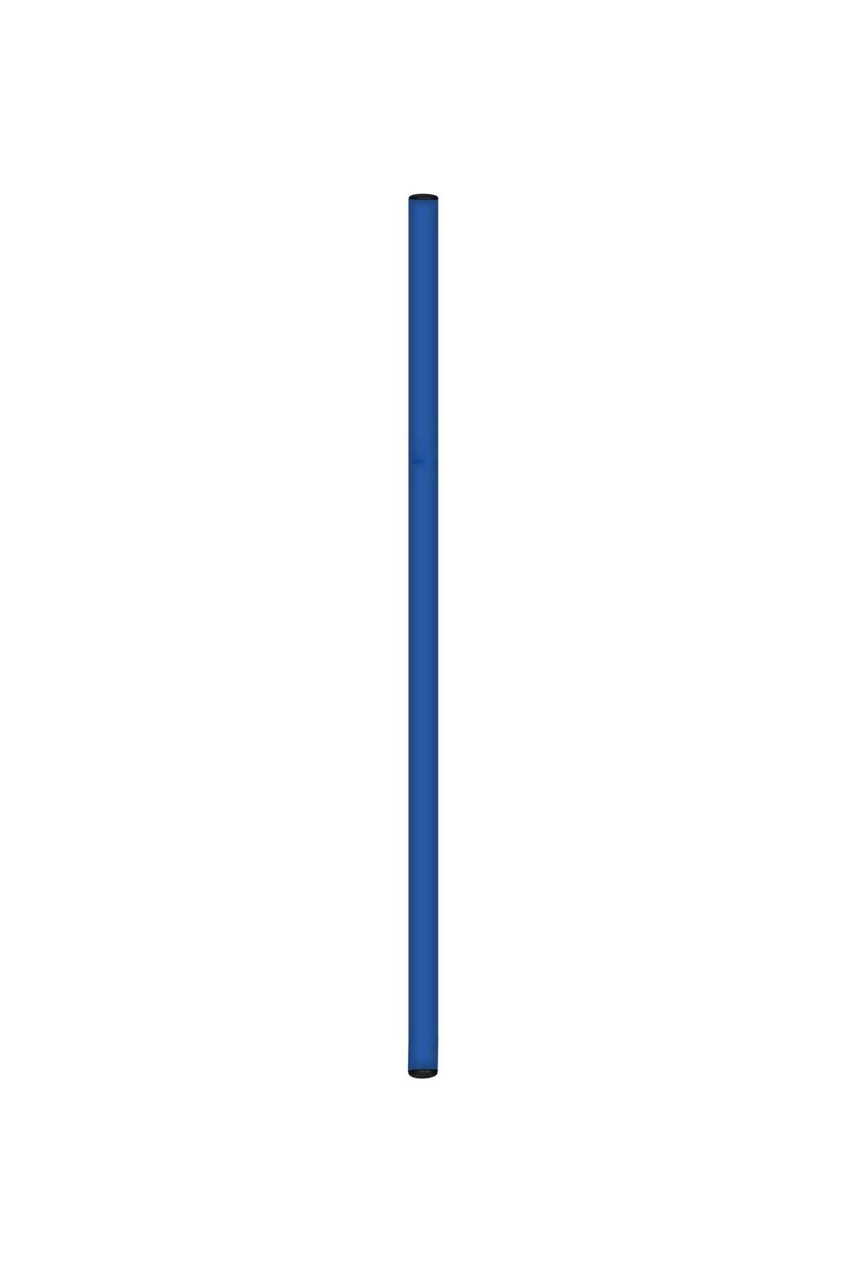 Avessa CBK-50 Antrenman Çubuğu 65 cm Mavi