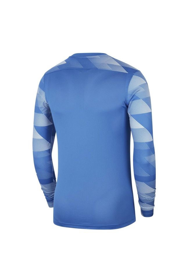 Nike Park IV GK Jersey Kraliyet Mavisi Erkek Kaleci Forması CJ6066-463