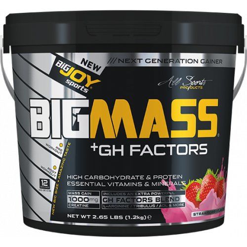 BigJoy Sports BigMass GH Factors Çilek 1200g 12 Servis