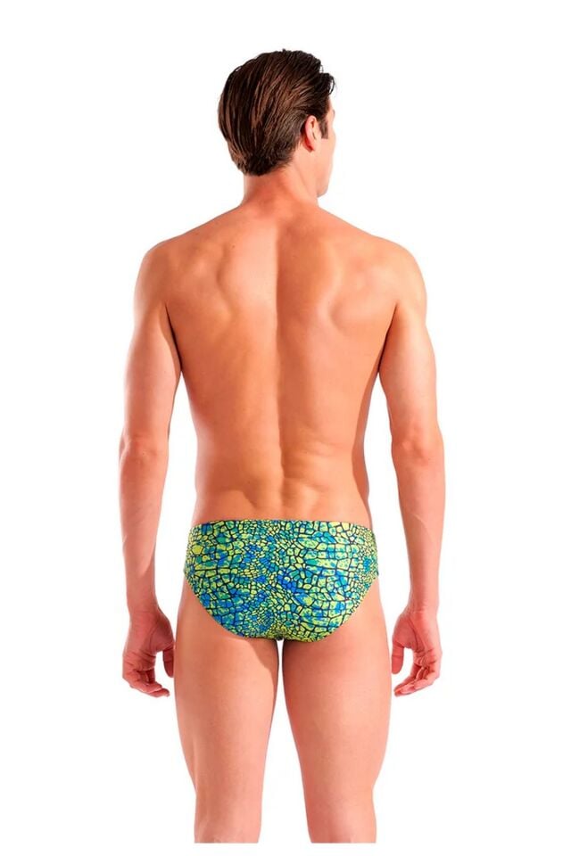 Arena Men's Snakeskin Swim Briefs Erkek Yüzücü Mayo Mavi/Yeşil Desenli 010162506 75